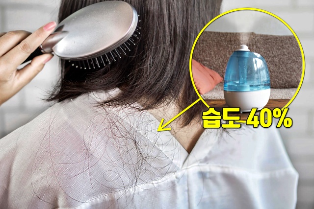 가습기 효능 코골이 코막히 줄이는 방법, 건강 팁줌 매일꿀정보