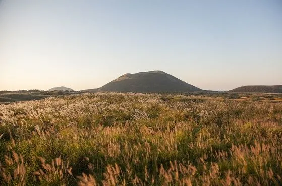 제주도-가을-여행-억새-명소-용눈이오름-억새