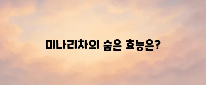 미나리차 효능 총정리 – 간 해독, 혈압 조절에 좋은 이유
