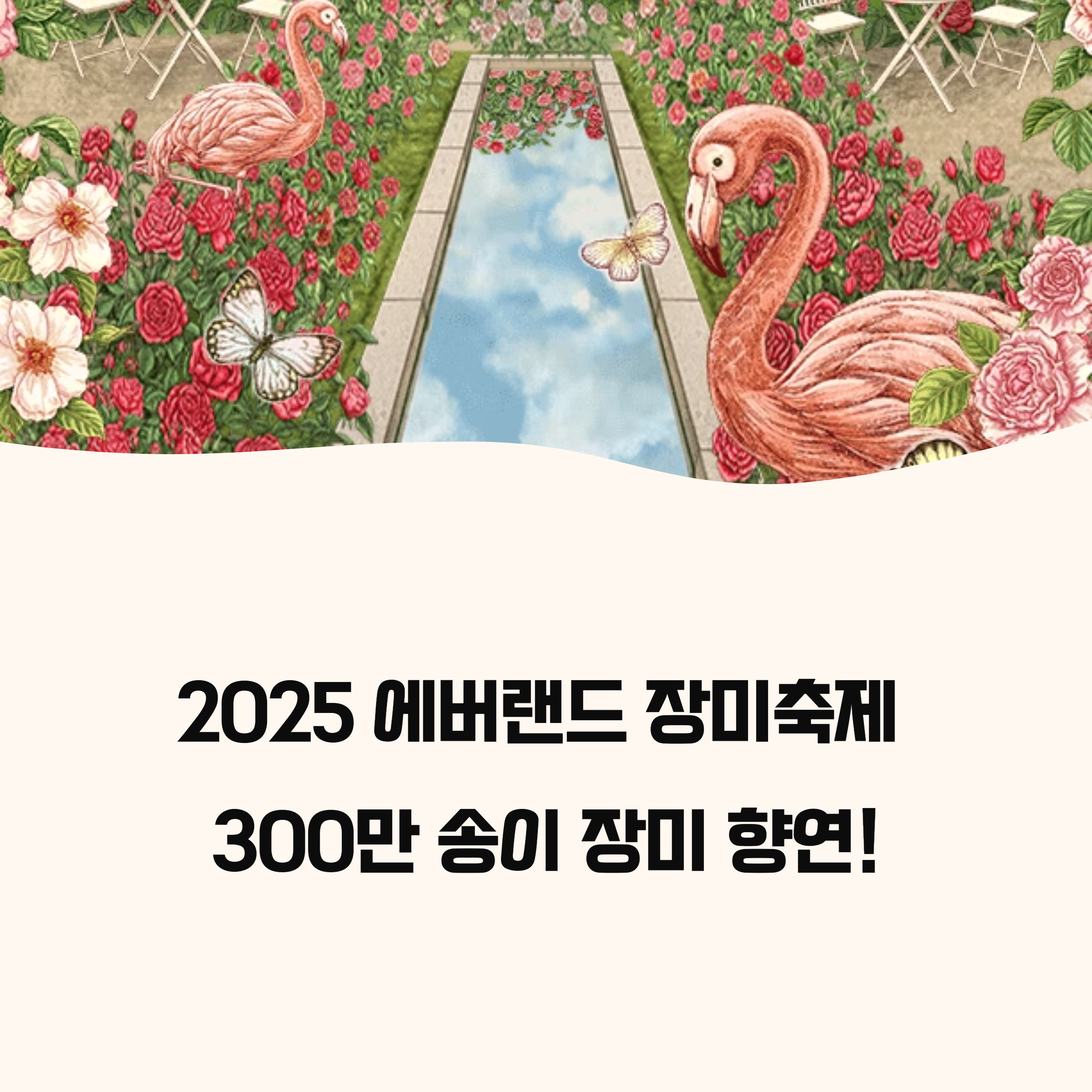2025 에버랜드 로즈가든 장미축제