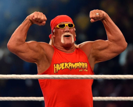 헐크 호건 사망