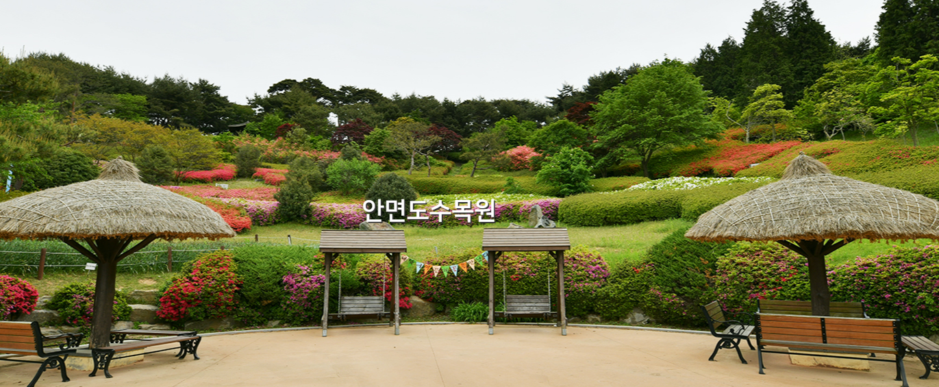 안면도수목원 가이드 : 입장료 할인부터 예약까지