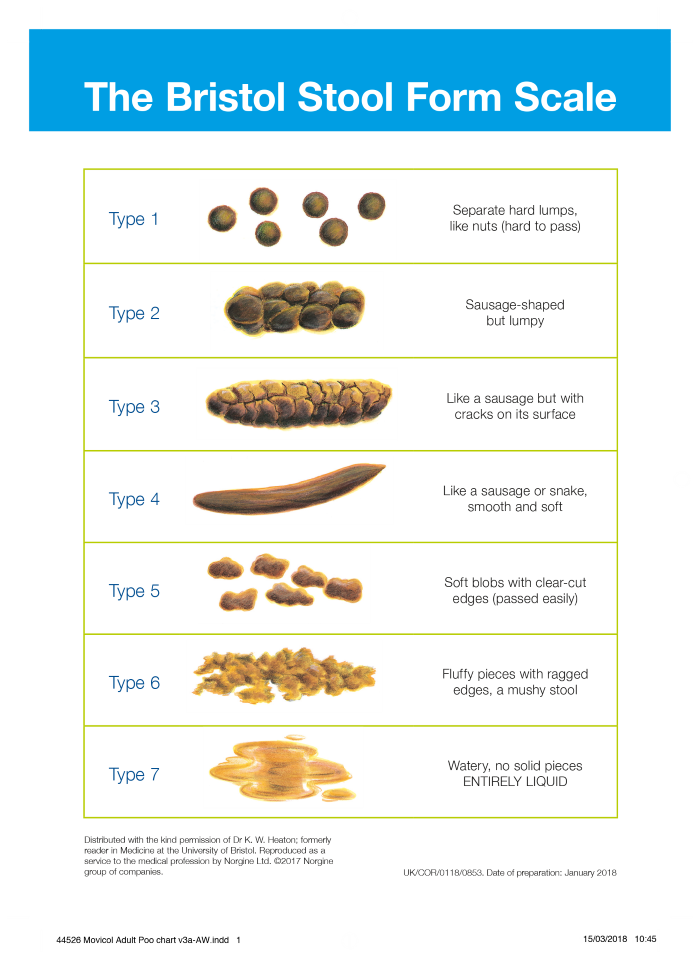 Bristol_Stool_Chart