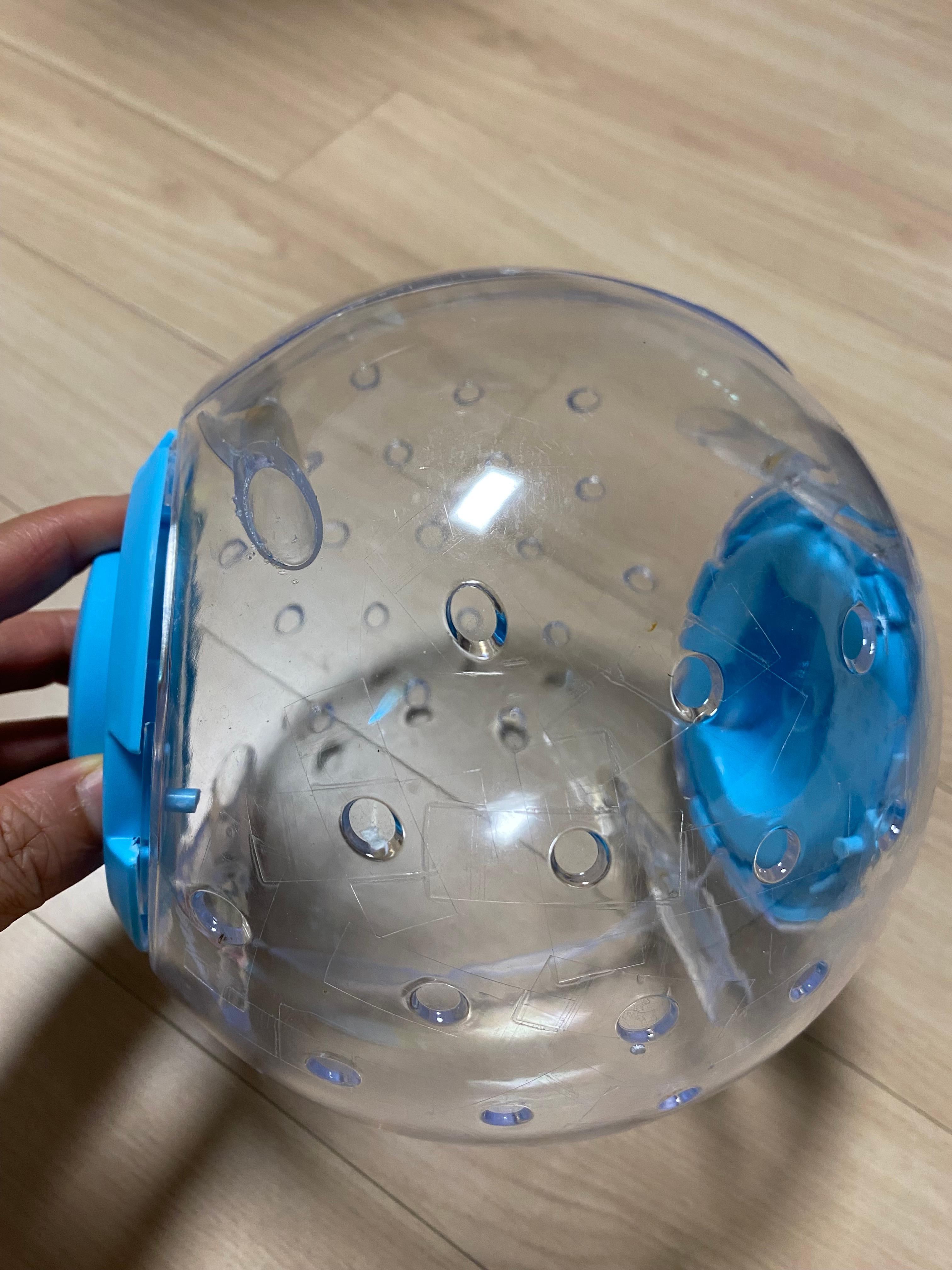 햄스터볼 겉모습