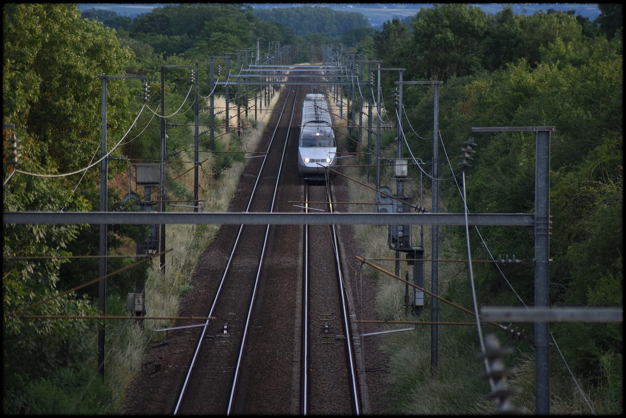 2025 설날 기차표 KTX 예매 일정 및 방법 취소표