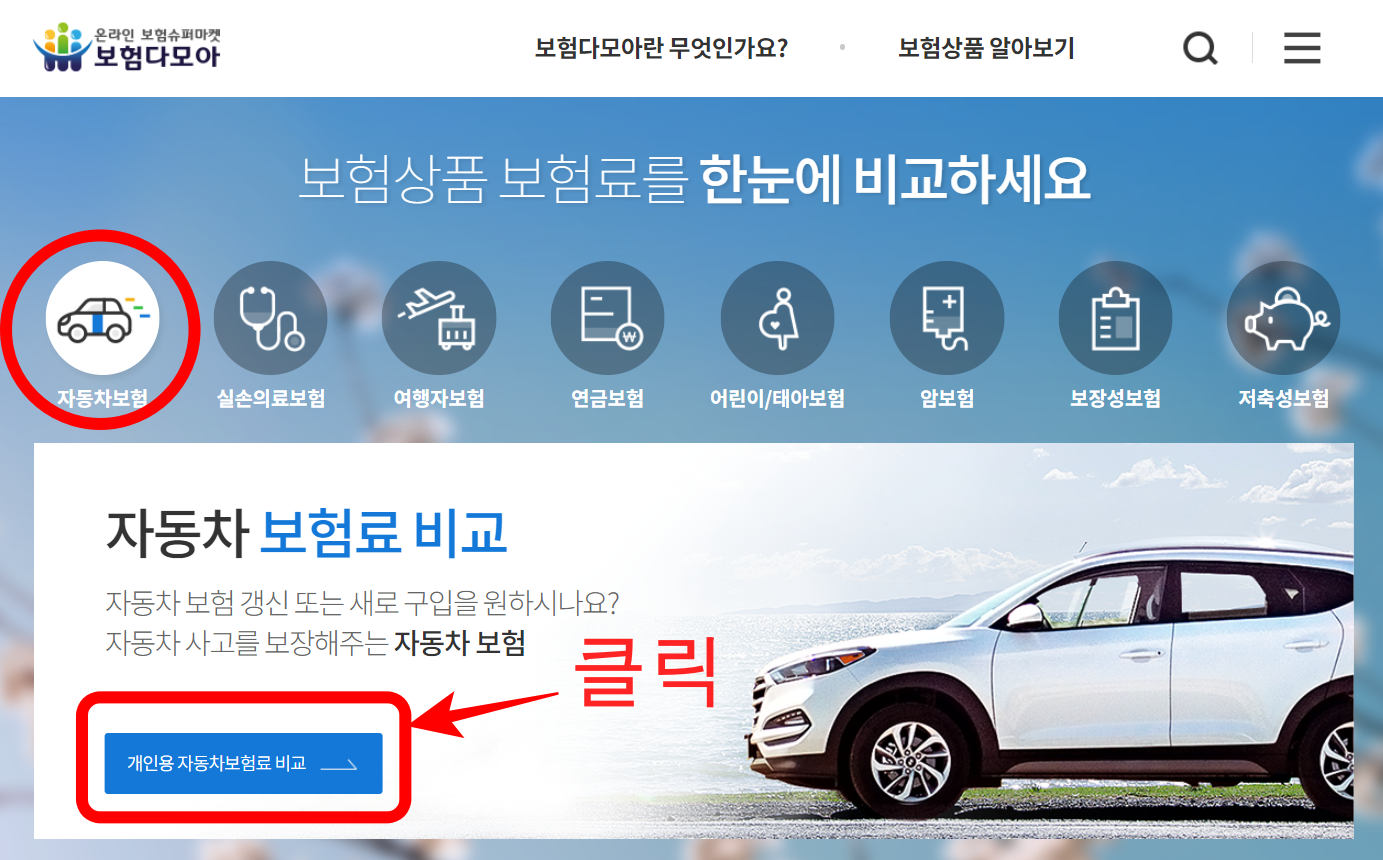자동차 보험 비교