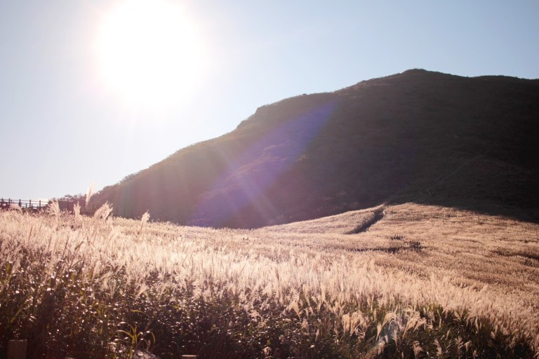 울산영남알프스-간월재