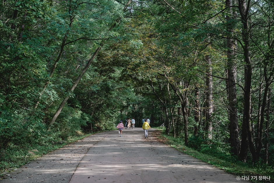 청송 가볼만한곳 베스트10