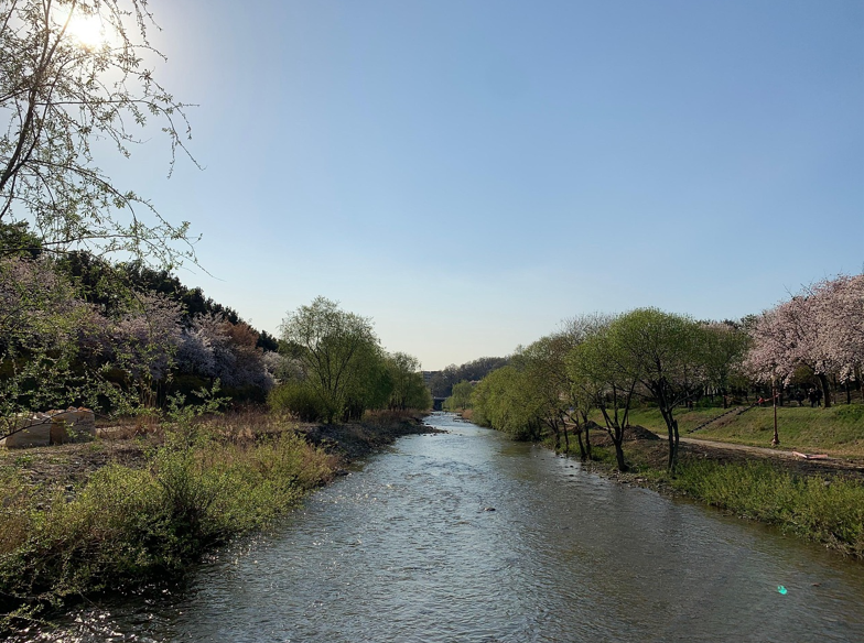 봄이 오는 사진