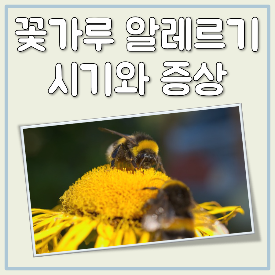 꽃가루 알레르기 시기 증상 대표 이미지