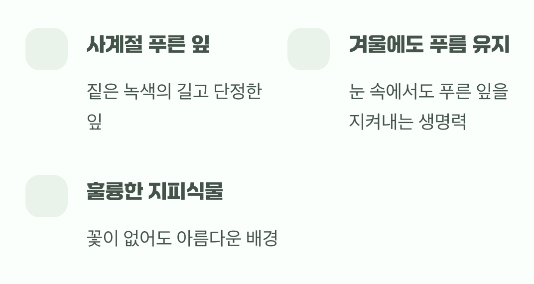 꽃이 아닌 잎도 주인공