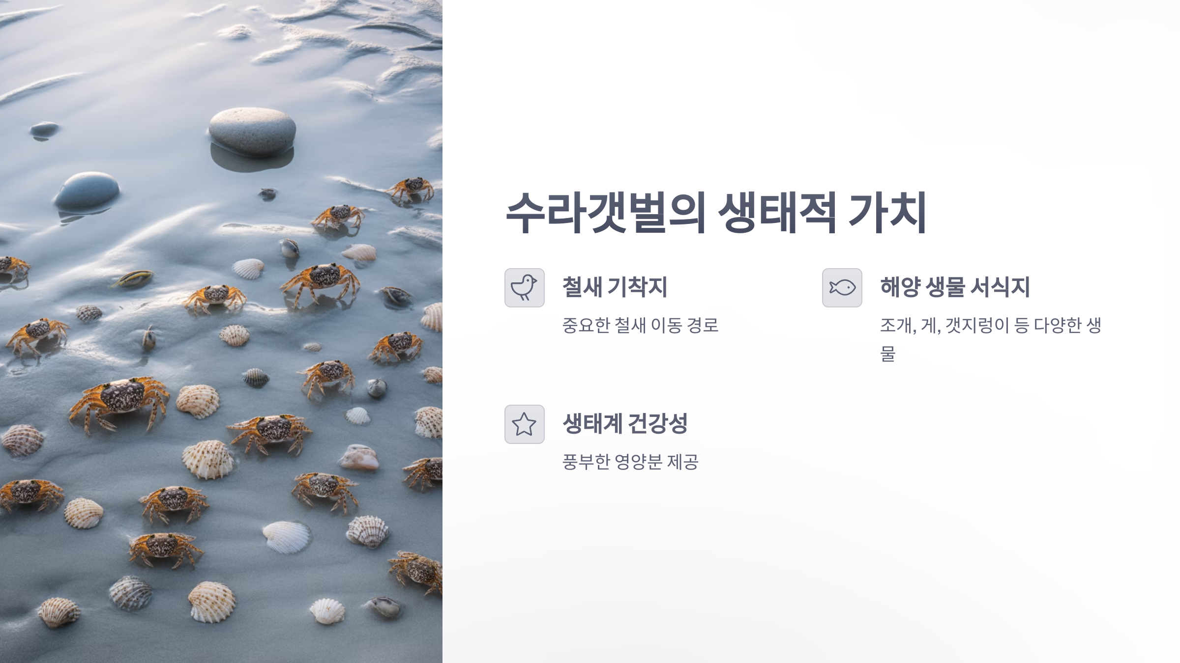 참조-새만금-수라갯벌-2