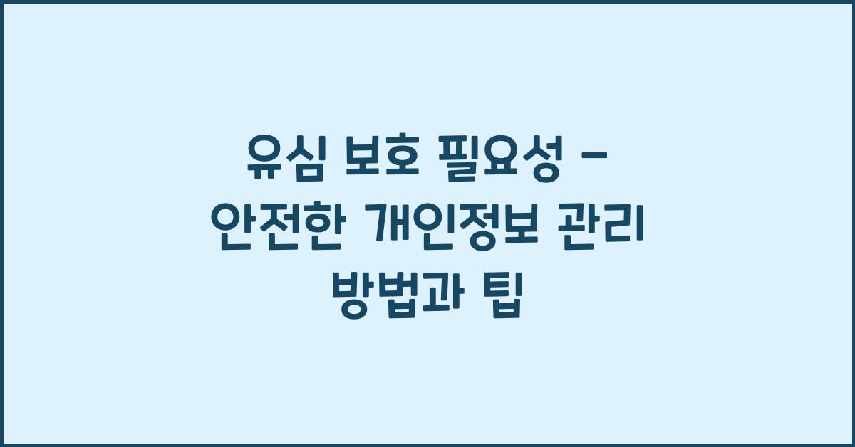 유심 보호 필요성