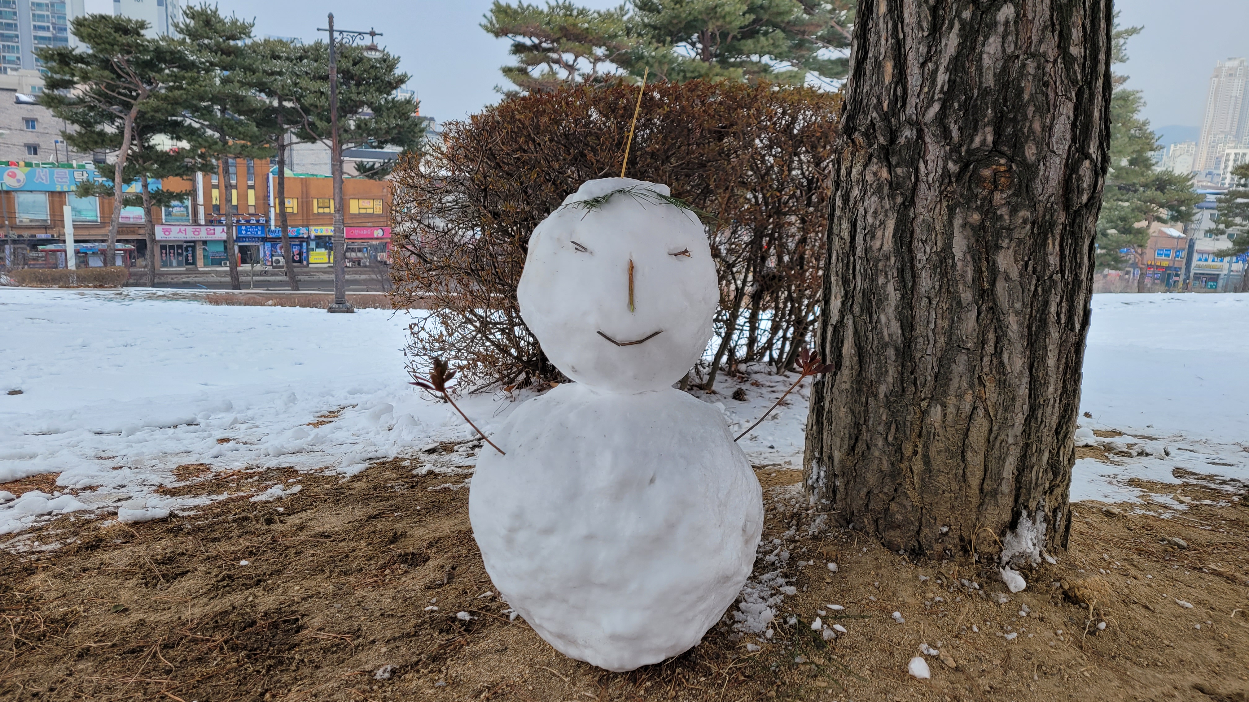 솔잎은 얻은 눈사람