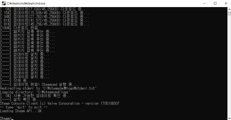 steamcmd.exe 실행
