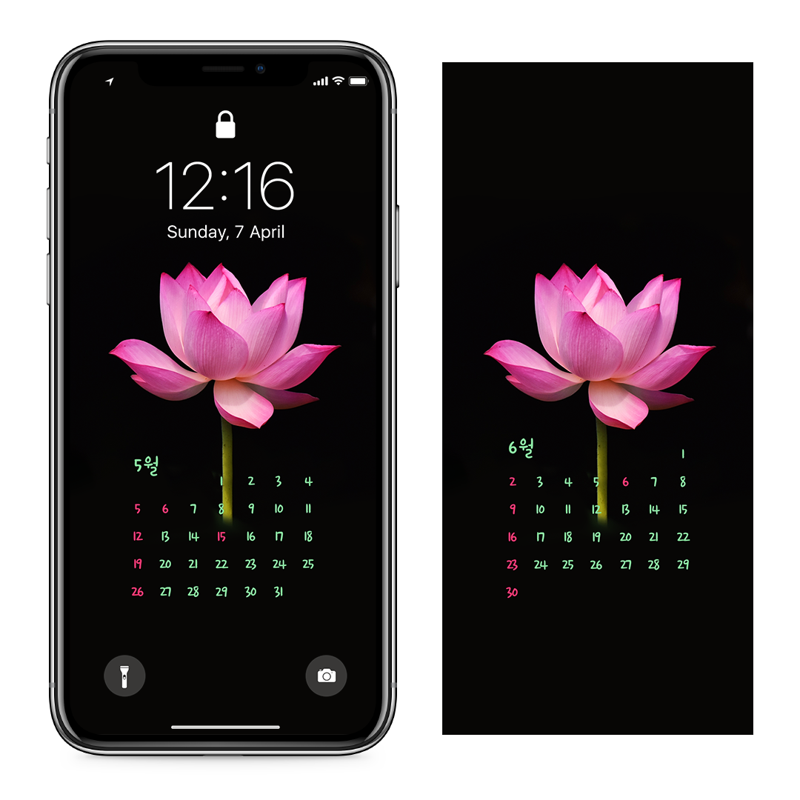 11 홍련 검정배경 AB - 2024년5월 아이폰달력배경화면