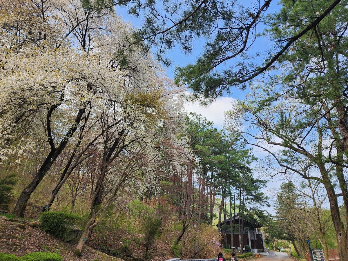 안양 수목원 이미지 사진