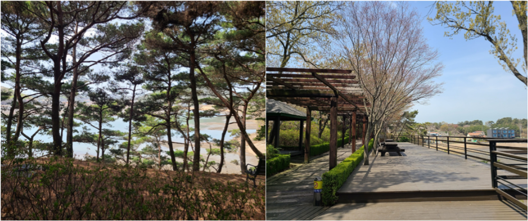 인천 비치카페 정원