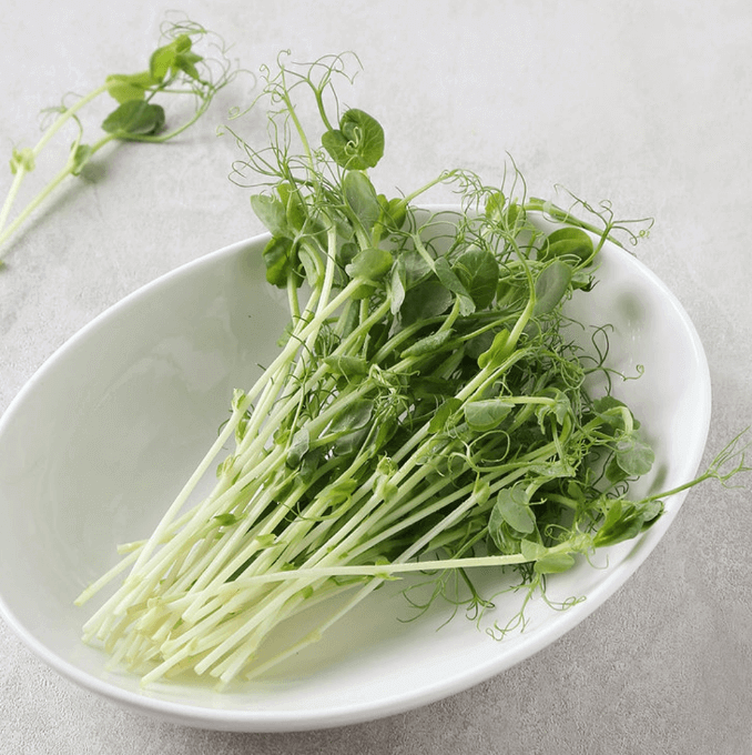 완두순, 더우미아오(Pea Shoot)