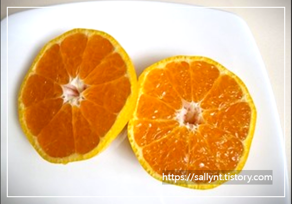 여름 귤, 이렇게 먹으면 더 맛있어요