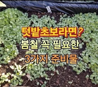 봄 텃밭 준비 토양 갈기 석회 퇴비 잡초 씨 제거_15
