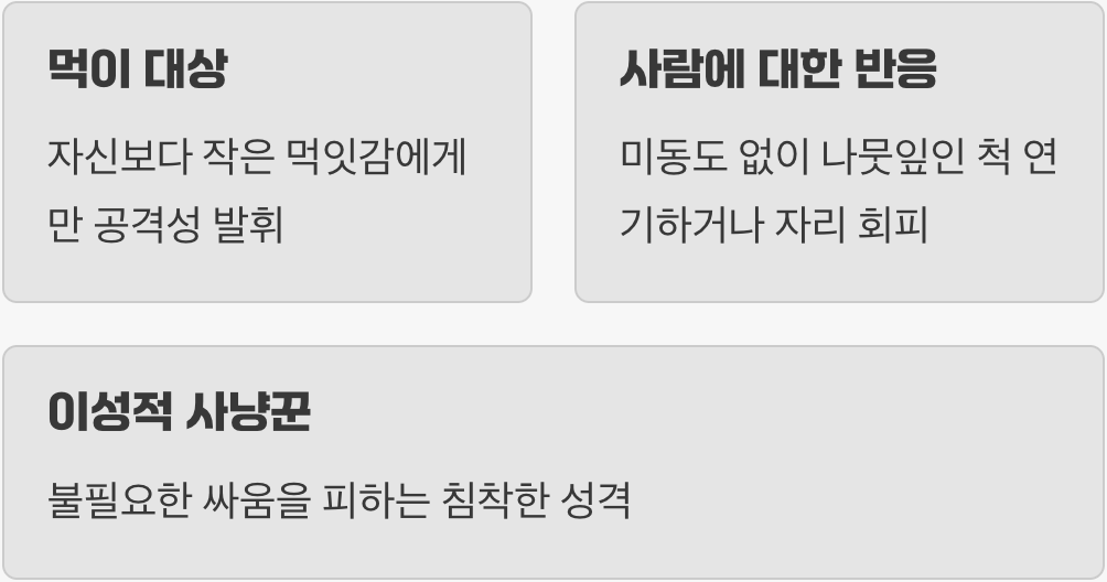 공격성? "관심 없어요"