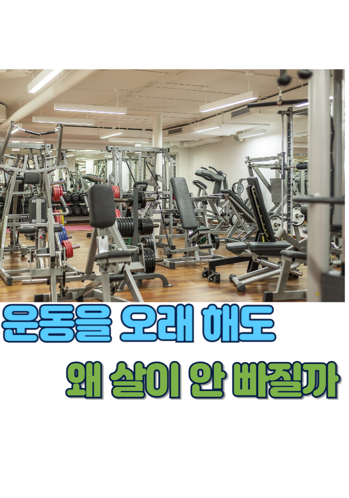 1.운동을 오래 해도 왜 살이 안 빠질까
