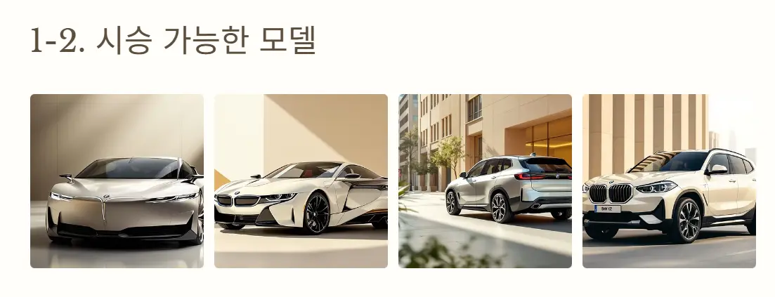 시승 가능한 모델