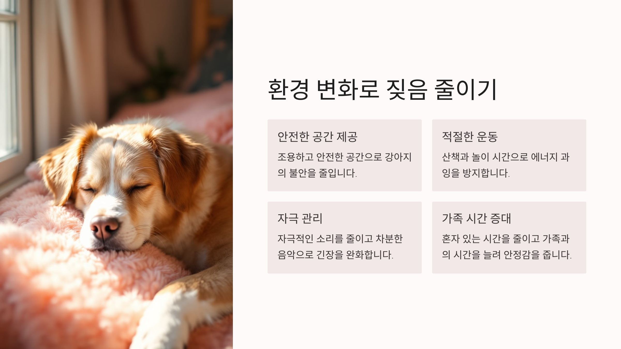 환경 변화로 짖음 줄이기