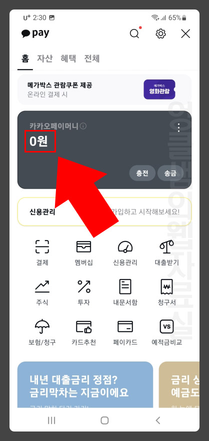 카카오페이 잔액