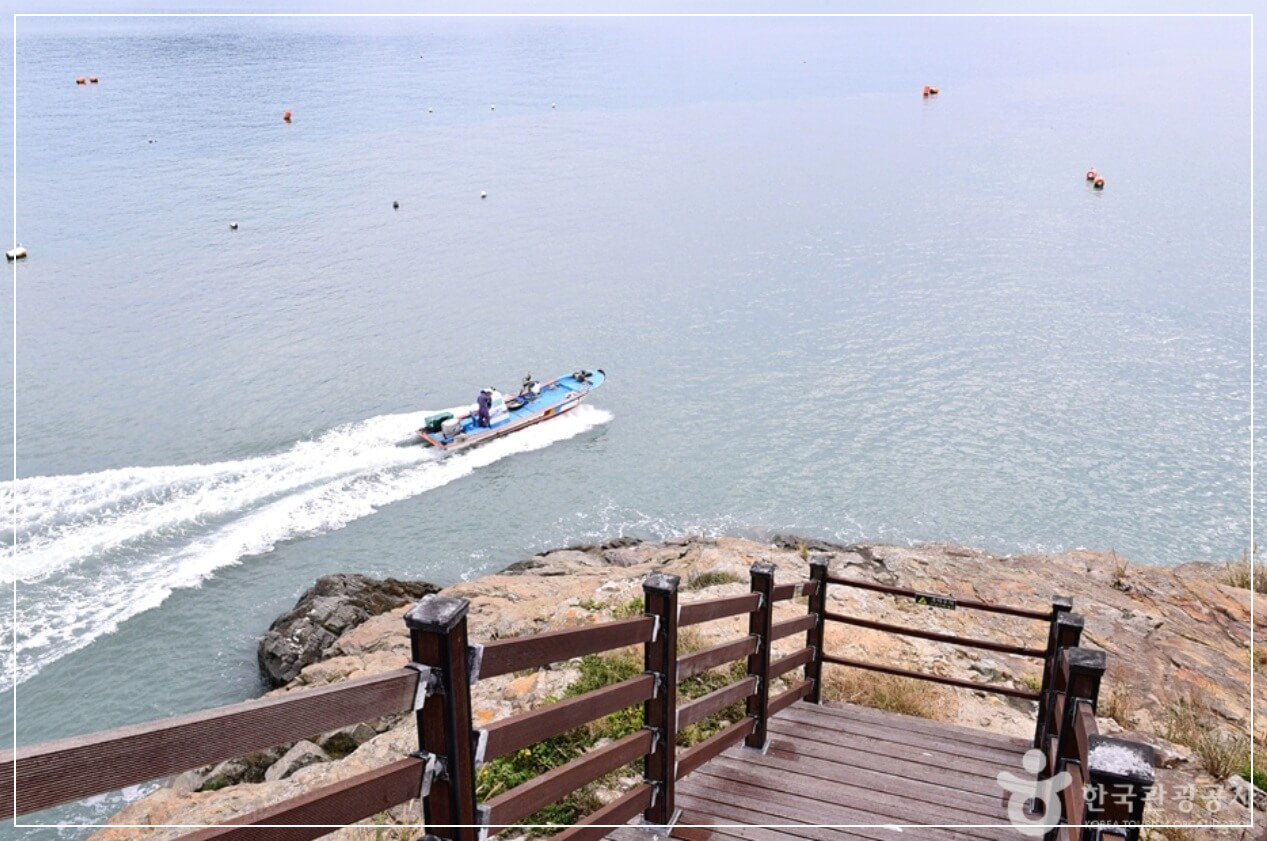 완도 가볼만한곳 베스트10 약산 해안 치유의 숲