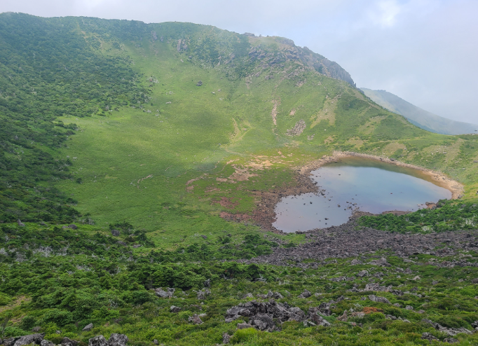 방문전 유의사항과 확인내용