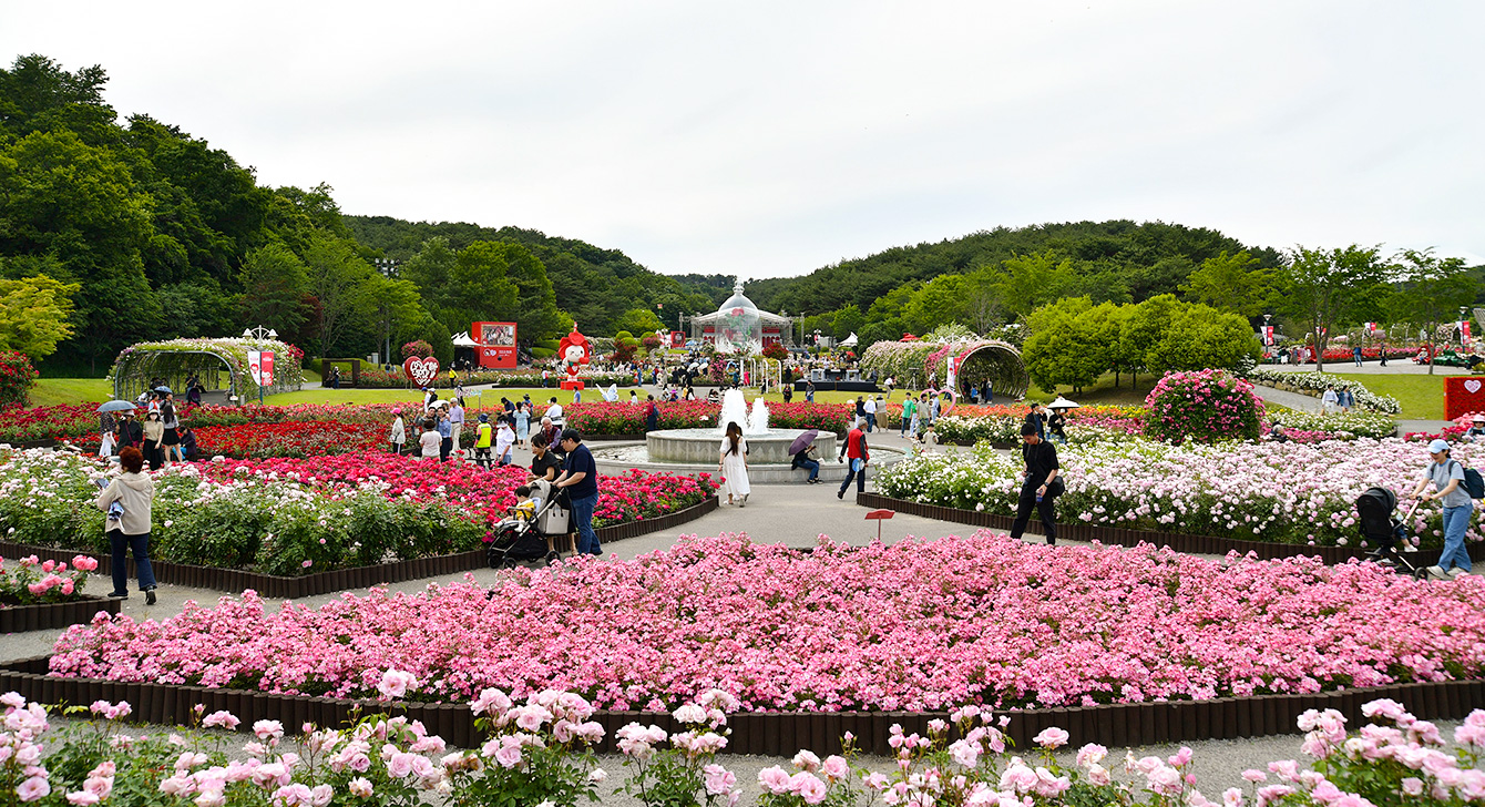 울산대공원 관련 사진