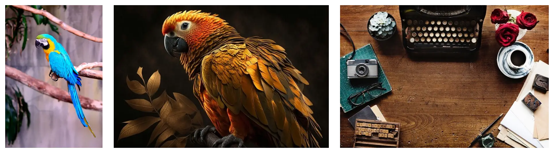 고가 이색 반려동물 이런 분들께 추천합니다.