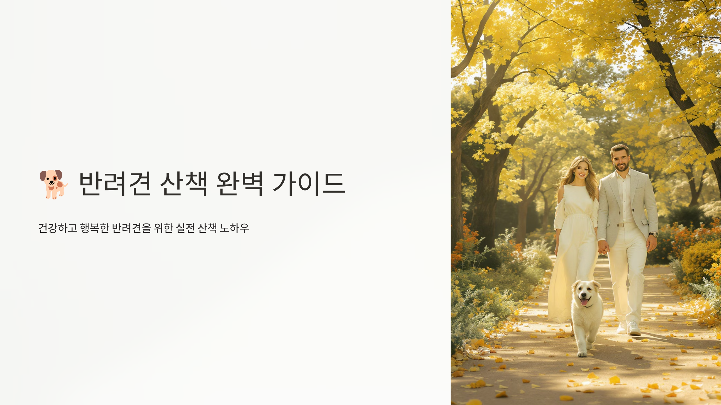강아지 산책 행복 만들기 완벽 가이드