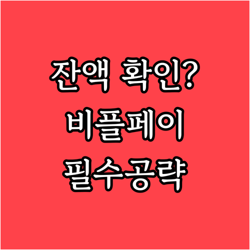 입학준비금 제로페이 잔액 조회와 비플..