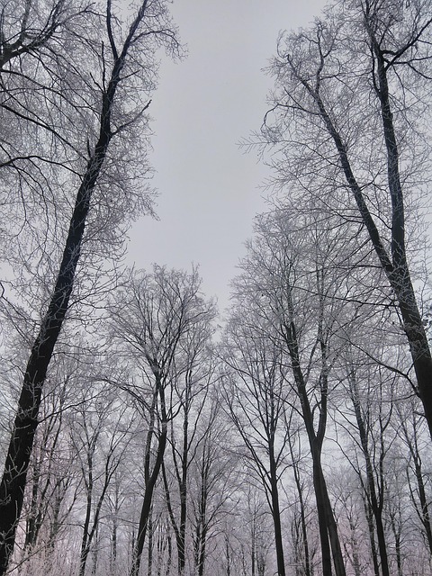 한 달 날씨 예보 1개월 기온 강수 전망