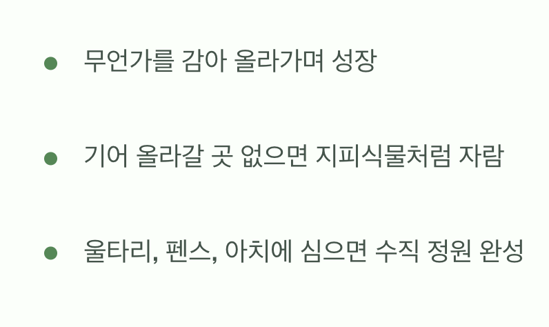 &amp;#39;덩굴 식물&amp;#39;이라는 본성을 이해하기
