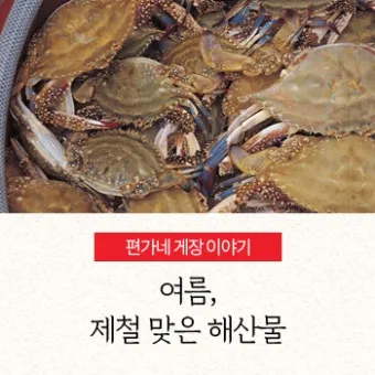 여름철 제철 해산물 추천 리스트 및 요리 활용법 안내_22