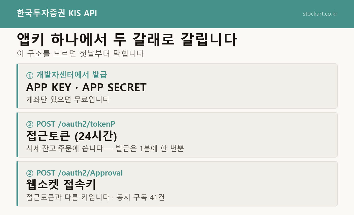 KIS API 인증 구조 — 앱키 하나에서 두 갈래로 갈린다