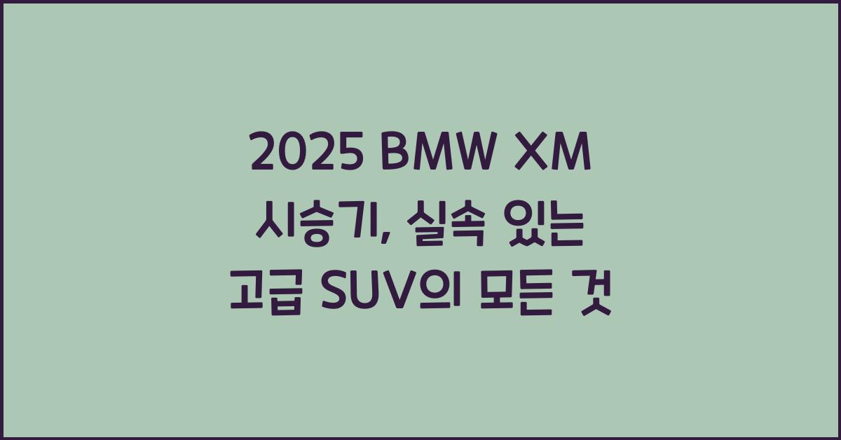2025 BMW XM 시승기 제원 연비 장단점 유지비 오너평가