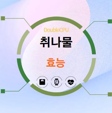 취나물 효능 탐구