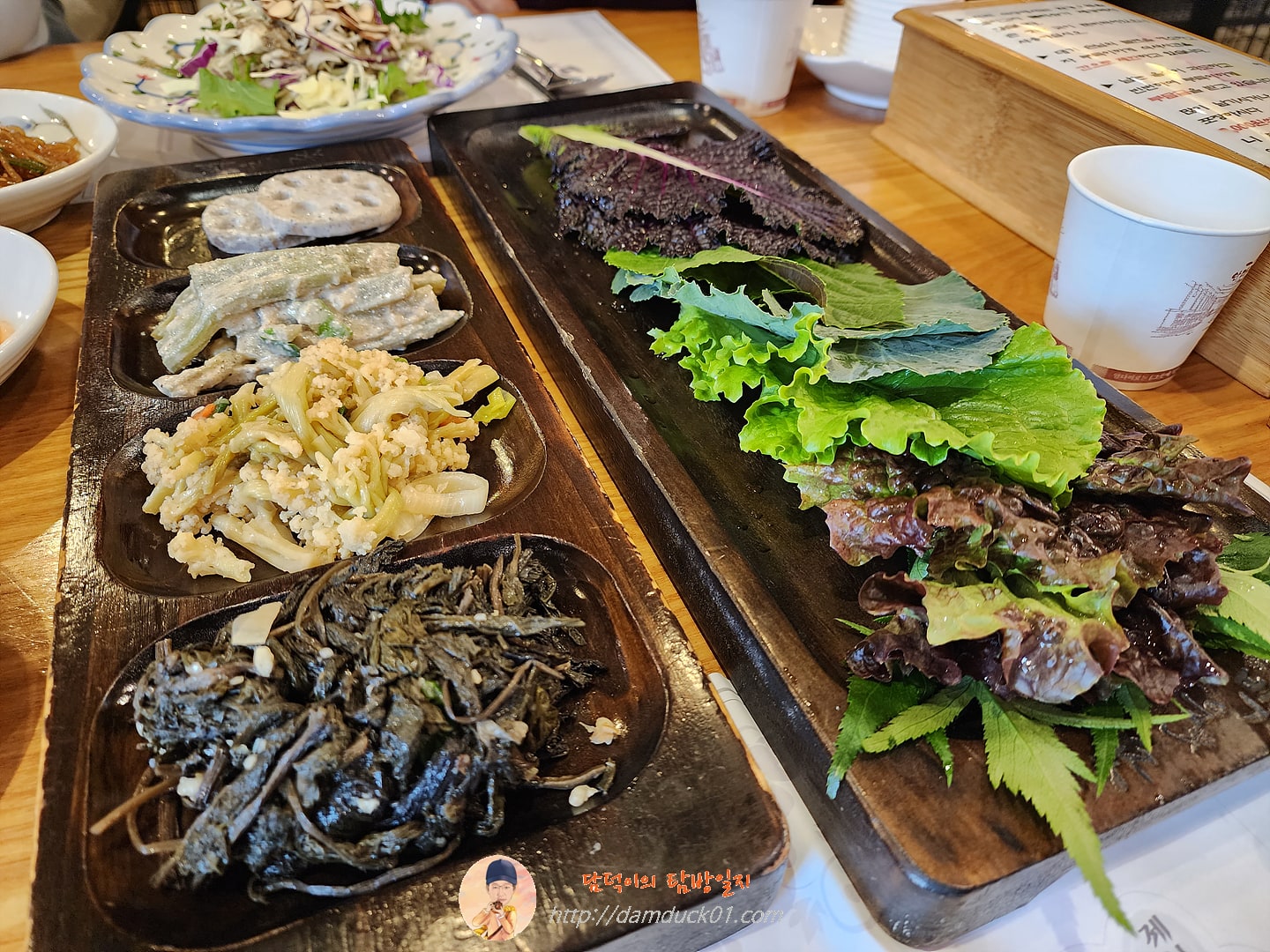 백운애꽃