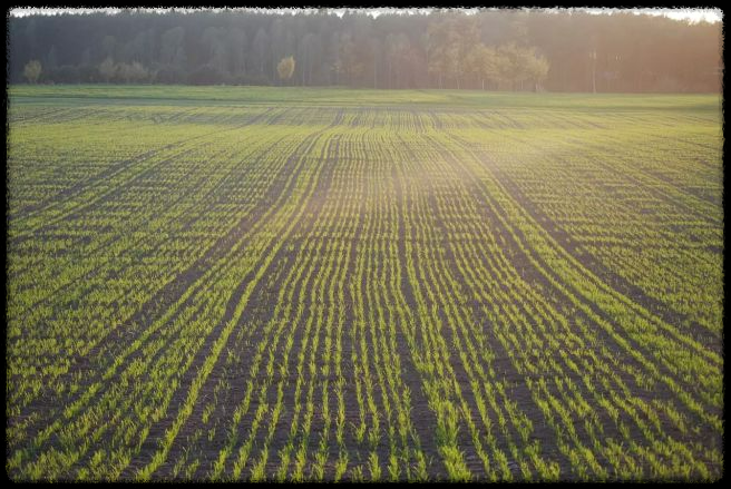 📢 2025년 직불금 교육 신청 필수 가이드! 꼭 받아야 할까? 신청 방법과 마감 기한 총정리