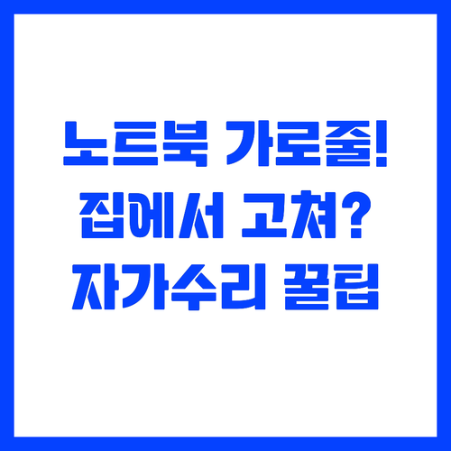 갑자기 생긴 노트북 화면 가로줄 자가..