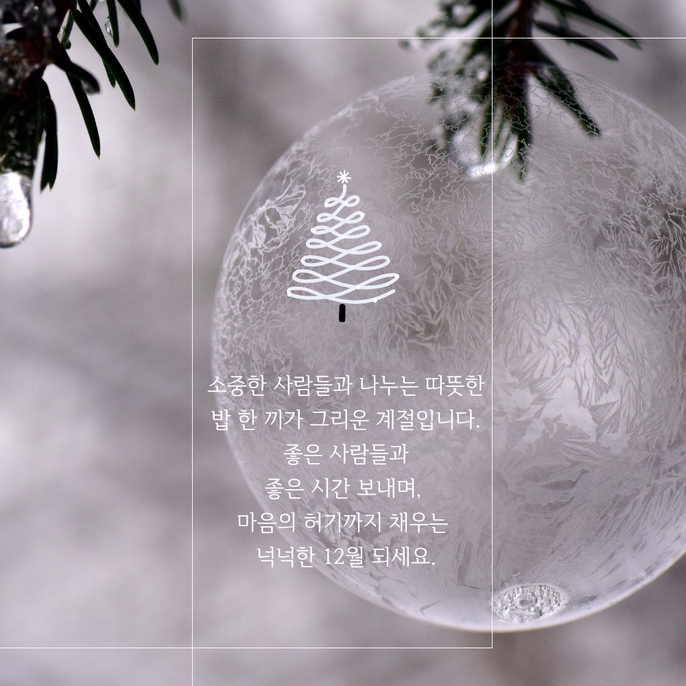 2025년 12월 인사말 문구 이미지 모음집