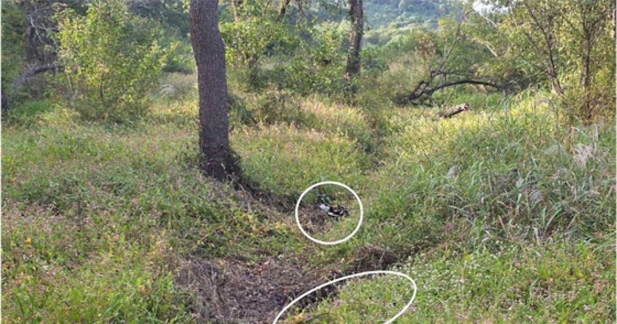 지뢰사고 조사