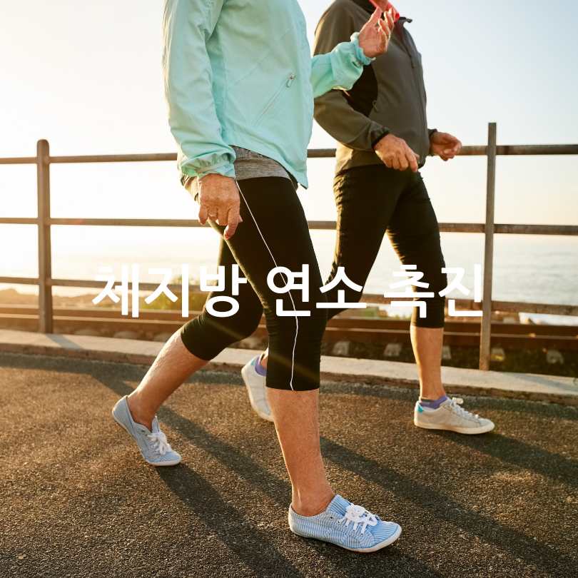 공복 운동 효과 및 공복 운동 방법