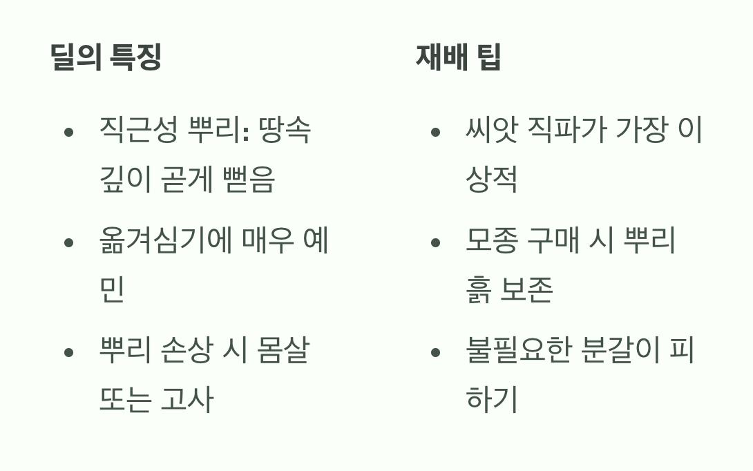 '뿌리'를 존중해주세요 (옮겨심기 최소화)