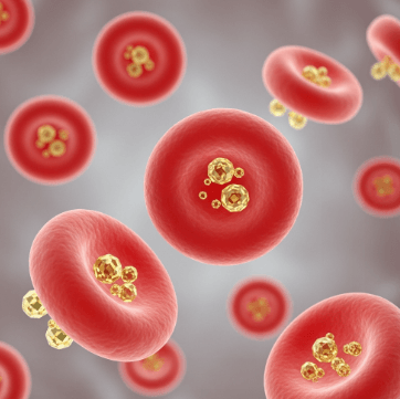 당뇨병 검사 방법 총정리7